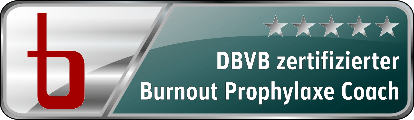 DBVB Zertifizierter Bournout Pro